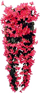 - Vorcool - Plantas trepadoras artificiales con flores- perfectas para colgar y decorar