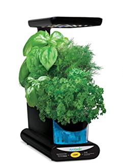 AeroGarden Sprout - Kit de cultivo interior smart garden- 3 capsulas- 10W- negro
