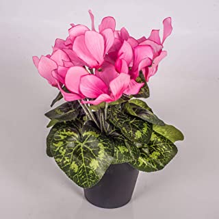 artplants.de Ciclamen Artificial en Maceta- 12 Flores- Rosa- 25cm - Planta Artificial - Flores Decorativas