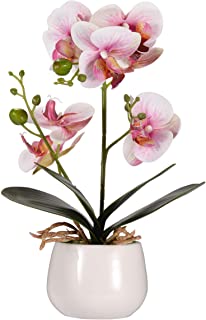Asvert Phalaenopsis Bonsai de orquideas de Flores Artificiales con jarron de ceramica