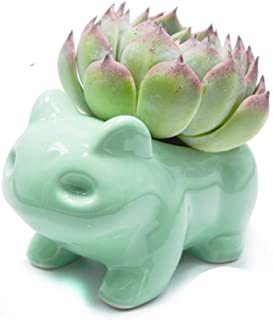 Binoster - Maceta decorativa de ceramica- color verde