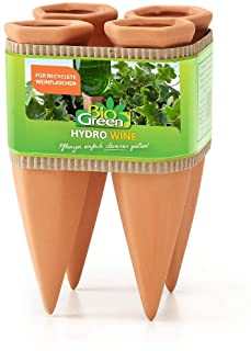 Bio Green Cono ceramico Vino Hydro riego- Terracota