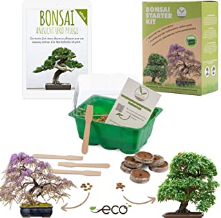 Bonsai Kit incl. eBook GRATUITO - Set de plantas con mini invernadero- semillas y suelo - idea de regalo sostenible para los amantes de las plantas (Semillas: Wisteria + Granada Enana)