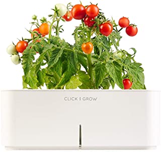 CLICK AND GROW Maceta Inteligente - Mini Tomate
