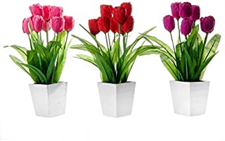 Dcasa - Pack 3 Planta Tulipa Decorada Maceta de Madera