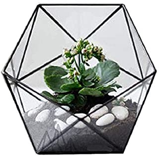 DECMAY Maceta Triangular Hecha a Mano de Cristal geometrico para balcon con Forma de macetero en Miniatura para bonsai- Mesa de cafe- Centro de Mesa para Plantas suculentas- Tipo 1