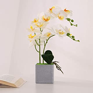 ENCOFT Flores Artificiales Plastico Flor de Phalaenopsis Realista Orquidea Mariposa con Maceta Imitacion Ceramica Decoracion