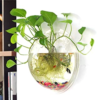 fablcrew jarron suspendida (cristal transparente- maceta de flor colgantes para plantas flores decoracion de jardin casa boda