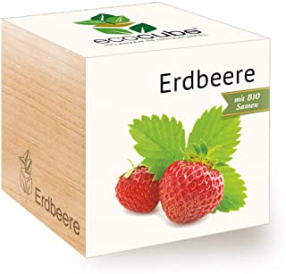 Feel Green Ecocube - Semillas de Fresa ecologicas- Idea de Regalo sostenible (100- Eco Friendly)- Grow Your Own-Anzuchtset- Plantas en Cubos de Madera- Fabricado en Austria
