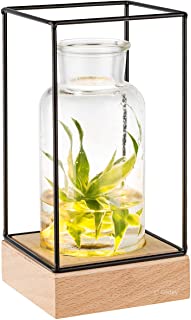 Gadgy® Jarron decorativo con luz led - Florero vidrio con Base de madera natural y diseno de metal l 22.5 x 10.8 x 10-8 cm