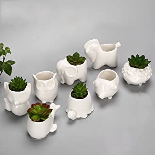Ganeep 8 unid-set maceta de ceramica creativa bonsai jardin jardin escritorio maceta suculenta macetas de animales lindos