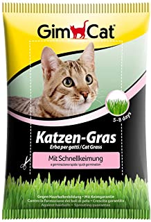 GimCat hierba de rapida germinacion para gatos -  Hierba para gatos de plantacion controlada - De rapido cultivo en 5-8 dias - 1 bolsa (1 x 100 g)