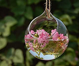 Haodou florero de cristal Jarron hidroponico Forma de bola clara decoracion de cristal de la planta de la chucheria florero decoracion Contenedor hidroponico de terrarios