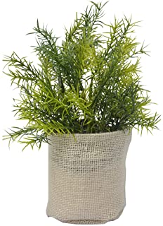 Hogar y Mas Planta Artificial Decorativa para Interior- Decoracion de Plantas Originales con Saco de Yute 25x9 cm - B