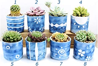 HorBous 2pcs Pot de flor de ceramica ( - Maceta para planta con flor jarron de planta en maceta suculenta Cactus Terrace y balcon rosa y azul- Pot a planta Ceramique paquete de 2- F: bleu 5 et bleu 6