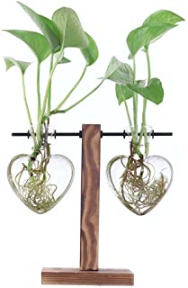 Ivolador - Maceta de cristal para escritorio- diseno de Libra- retro- con soporte de madera maciza- para plantas hidroponicas- hogar- jardin- boda- decoracion