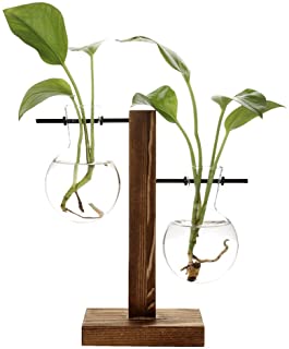 Jarron de plantas hidroponicas de Belupai- jarron de madera transparente con marco de cristal- para decoracion del hogar- B（.2 Bulb Vase）.- 11.5 x 19.5cm
