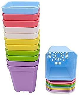 KINGLAKE 12 Piezas de macetas plasticas cuadradas de 7 cm- 6 Colores- macetas cuadradas de plastico Interior con paletas-bandejas- Gruesas