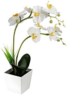 LEDMOMO 9 LED Lampara de bateria con lampara de orquideas Artificial en maceta con flores Decoracion del hogar (Blanco)