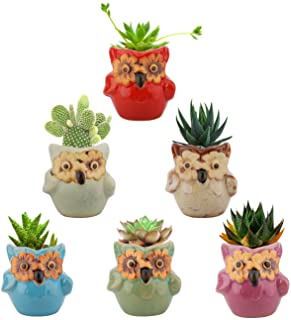 Lewondr Macetas de Ceramica para Flores y Plantas- [6 PZS] Conjunto de Contenido Plantador con Bandeja de Bambu y Agujero para Suculenta- Cactus- Oficina- Casa- Ventana 7 x 7.2 x 5.7 - Buho 4