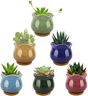 Lewondr Succulent Plant Pots- 3.5 Inch 6 Pack Ice Crack Mini Ceramic Flower Cacti Pot Planter Container Set with Drain Hole & Bamboo Trays for Garden Home Office Tablet Desk Ideal Gifts- Colorful