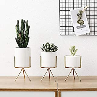 Maceta con marco de hierro- maceta de cactus geometrico- maceta de ceramica con soporte de metal- jarron de flores con marco de hierro nordico- decoracion de oficina y hogar- blanco- S
