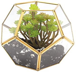 Maceta de cristal hecha a mano con forma de bola de pentagono en forma de terrario geometrico abierto en forma centro de maceta- tamano grande- para cactufern musgo suculenta (17 x 17 x 15 cm- oro)