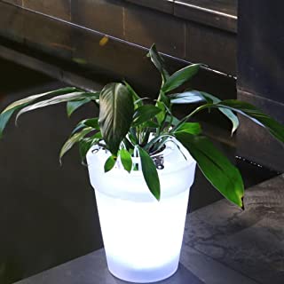 Maceta iluminada con iluminacion LED de Flores y macetas de Flores Transparentes- lampara Decorativa de luz Moderna para Maceta- jarron para Escritorio- jardin- Patio- Blanco- Tamano Libre