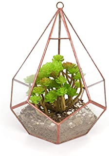 Macetas de cristal para flores de terrario geometrico moderno artistico transparente con cinco superficies de diamante y fresno- terrario de musgo con gancho (cobre)