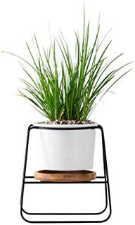 Macetas de interior- modernas plantas y macetas de jardin de ceramica blanca- cuenco grande con soporte de metal bandeja de bambu para suculentas cactus