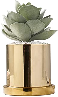 Macetero moderno de ceramica con diseno de cactus- color dorado- ceramica- dorado- 11x11cm