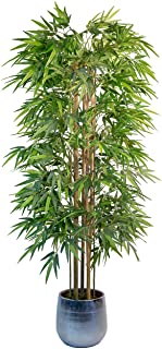 Maia Shop Bambu Canas Naturales- Ideal para Decoracion de Hogar- Arbol- Planta Artificial (180 cm)- Materiales Mixtos
