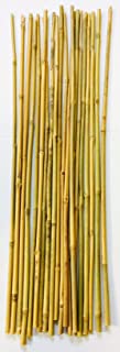 Mendi 20 Varillas de bambu. 60 cm - 6-8 mm diametro