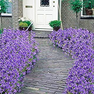 Mrinb Flores Artificiales Falsas- 4 Paquetes para Exteriores- Resistente a los Rayos UV- arbustos Vegetales- macetas Colgantes para Interior y Exterior- decoracion para el hogar y el jardin