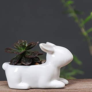 N-A Home - Maceta de ceramica blanca con forma de conejo de dibujos animados- para casa- jardin- oficina- decoracion sin plantas- como se muestra