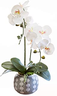 Orquidea Artificial- Altura 60 cm- Phalaenopsis- Maceta de Ceramica- Ideal para Decoracion de Hogar- Tacto Natural (Orquidea 6)