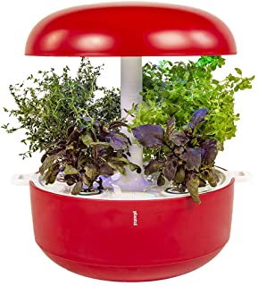 PLANTUI 6 Smart Garden Maceta para Plantas Inteligentes Rojo Alrededor - Macetas para Plantas Inteligentes (Rojo- Alrededor- Acrilonitrilo butadieno estireno (ABS)- 29 cm- 210 mm)