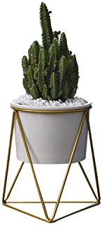 Pot de fleurs pour l'.interieur Y&.M(TM) - 11-6 cm - Moderne - Pot rond en ceramique blanche avec support en metal - Pour les plantes succulentes- les plantes grimpantes- les cactus White+Gold