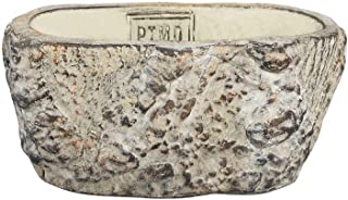 PTMD Joye Cream Cement Pot - Macetas ovaladas (tamano S- 2 unidades) Maceta con aspecto de piedra – Dimensiones: 8 x 8 x 18 cm