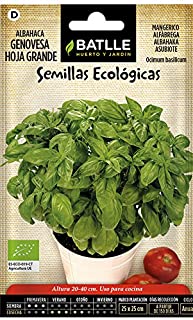 Semillas Ecologicas Aromaticas - Albahaca Gigante Genovese - ECO - Batlle