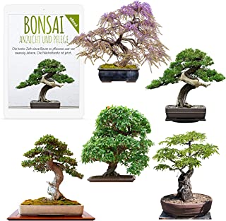 Semillas exoticas de Bonsai con alta tasa de germinacion - Juego de Semillas de Plantas para su propio arbol de Bonsai (Mezcla de 5 incl. eBook GRATIS)
