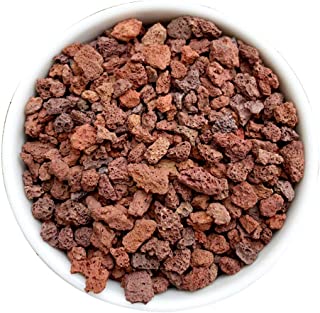 TELLW - Piedras para plantar suelos nutritivos tipo general de perlita para varias carnes- piedra vermiculita volcanica y perlita