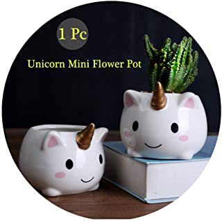Unicornio Macetas de plantas- lindas macetas con forma de animales de dibujos animados florero macetas- contenedores- macetas de decoracion del hogar- mini ornamento de escritorio
