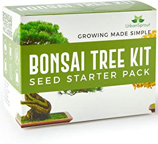 Urban Sprout Kit de Bonsai – Cultive Sus Propios Bonsais con Semillas para Cultivo de Interior - Incluye 5 variedades – Kit Base para germinacion con Herramientas de Jardin - Instrucciones en Espanol