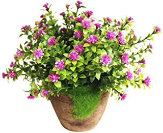 WINOMO Planta Artificial Potted Falsa Planta decorativa Bonsai Lifelike Flor (Purpura)