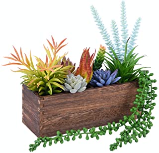WuGeShop - Caja de madera para plantas (plantas de cultivo no incluidas)