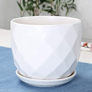 XHZJ Maceta de ceramica blanca para el hogar- Extra grande de ceramica con bandeja dividida Maceta de ceramica creativa simple- Jardinera verde Luo Lan Lan Balcon Maceta de ceramica